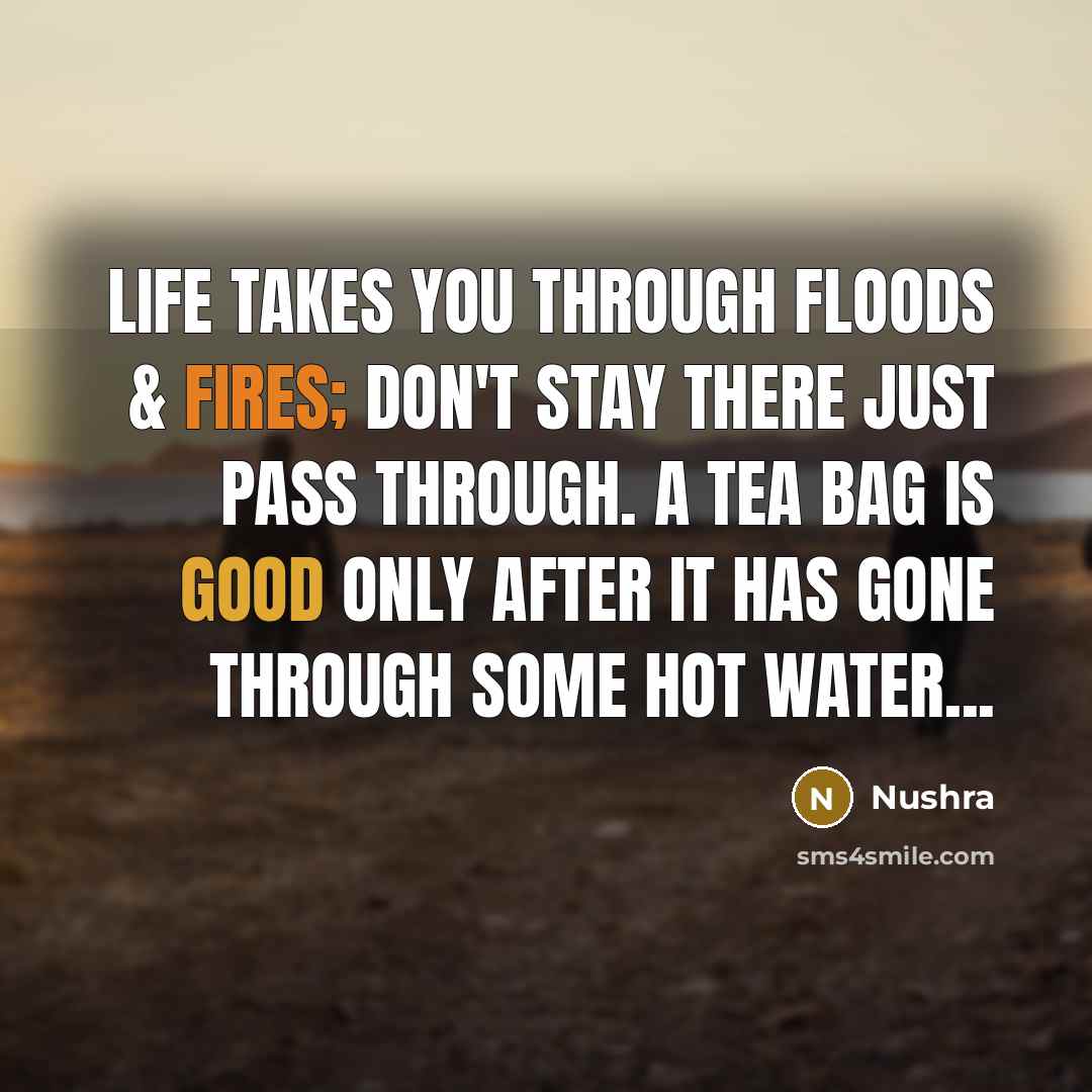 “Life takes you through floods & fires; don't stay there…” quote by Nushra