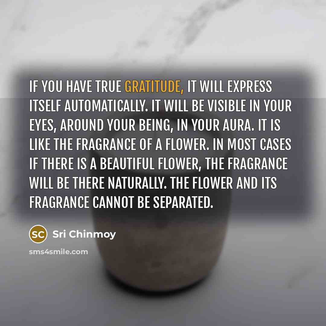 “If you have true gratitude, it will express itself automatically.…” quote by Sri Chinmoy