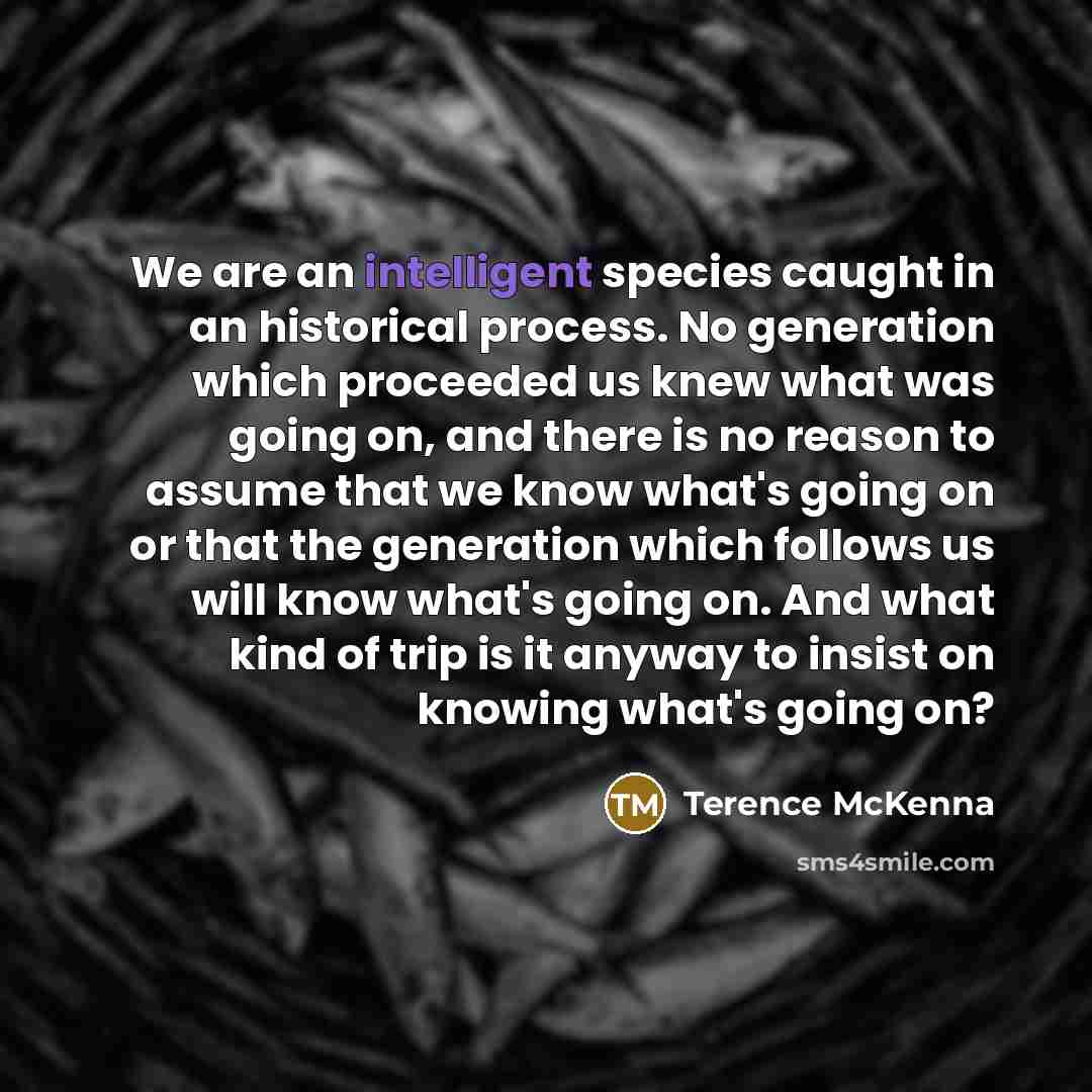 “We are an intelligent species caught in an historical process.…” quote by Terence McKenna