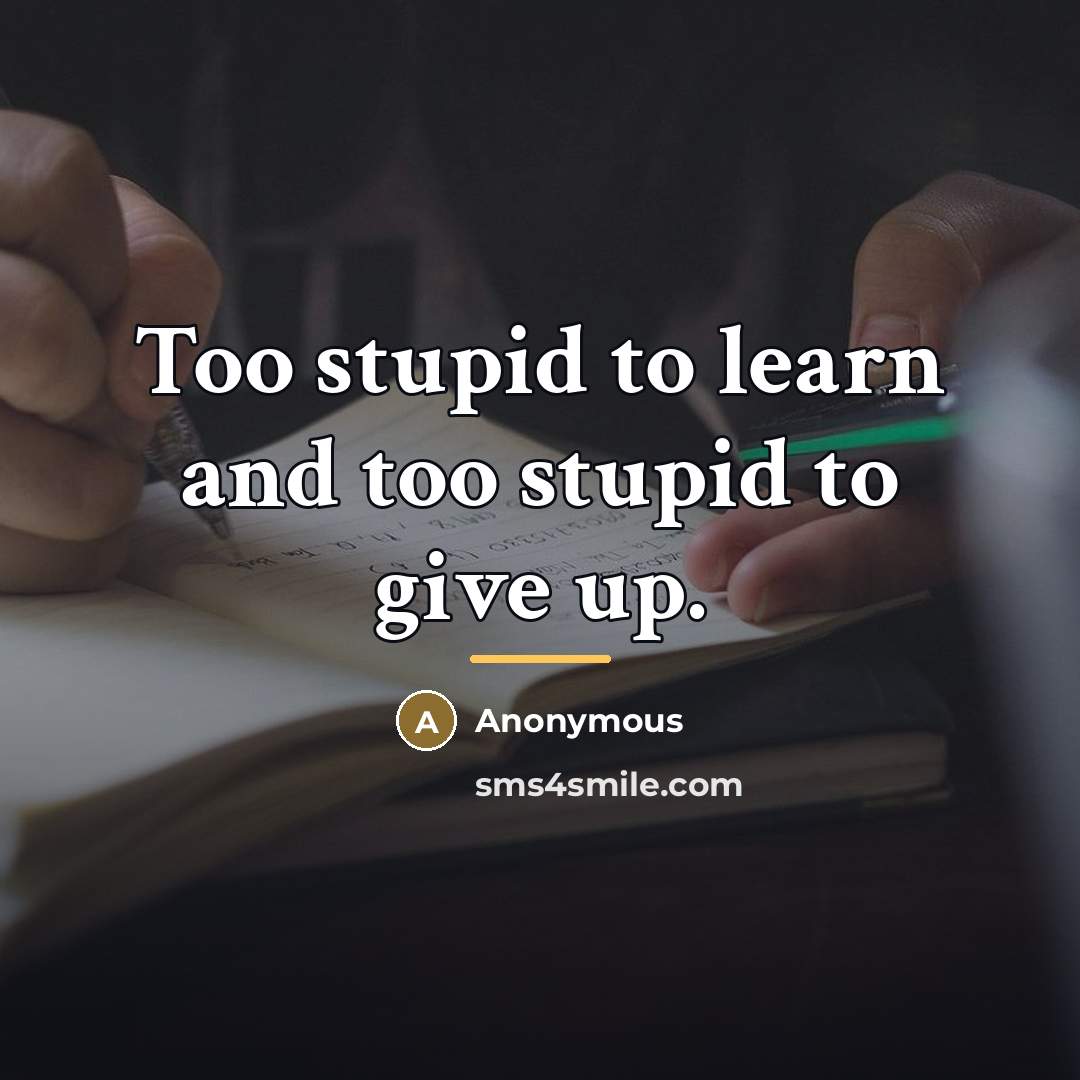 “Too stupid to learn and too stupid to give up.…” quote by Anonymous