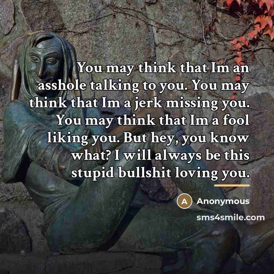 “You may think that Im an asshole talking to you.…” quote by Anonymous