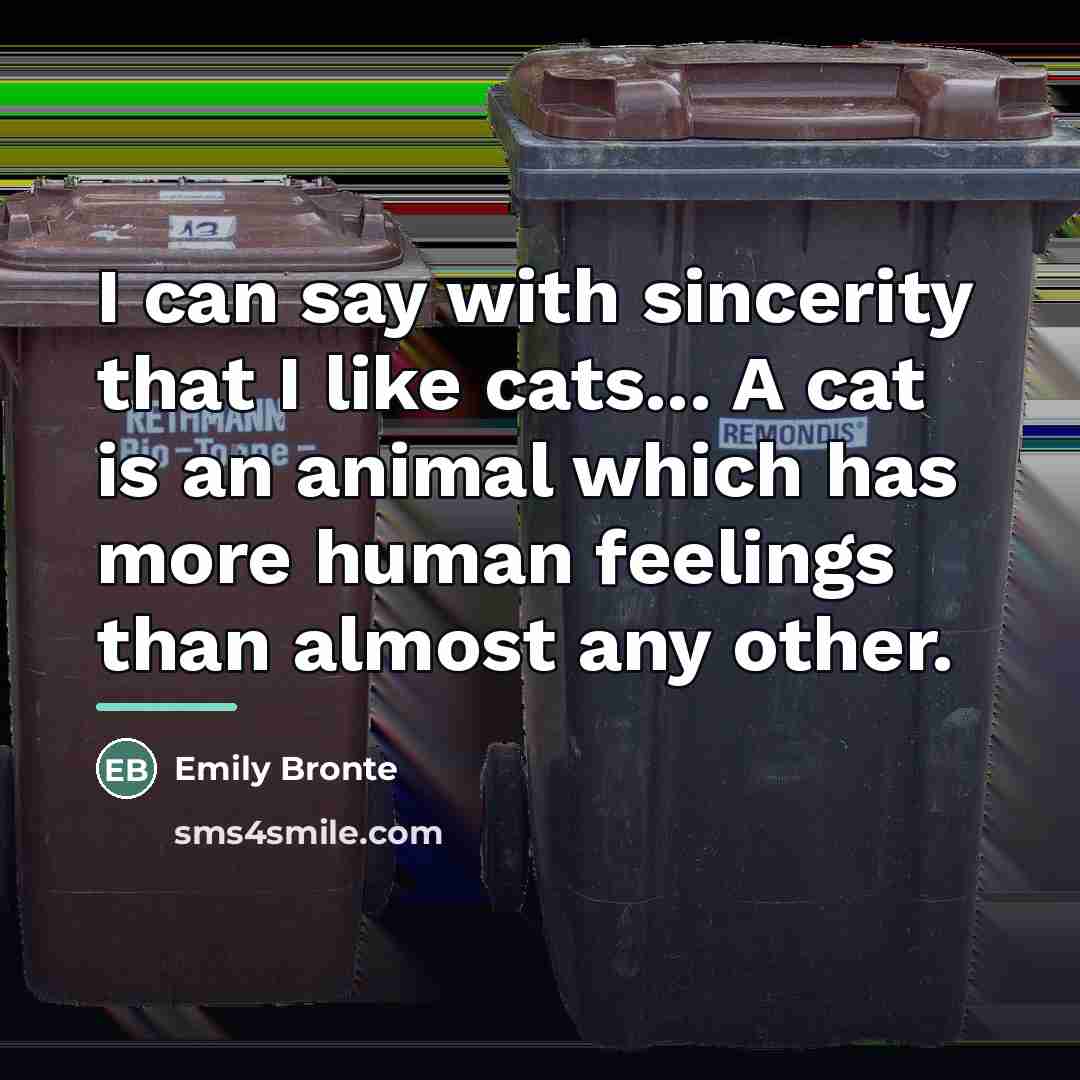 “I can say with sincerity that I like cats... A…” quote by Emily Bronte