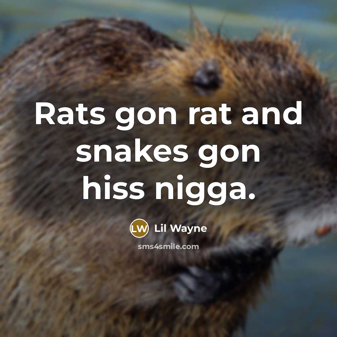 “Rats gon rat and snakes gon hiss nigga.” quote by Lil Wayne