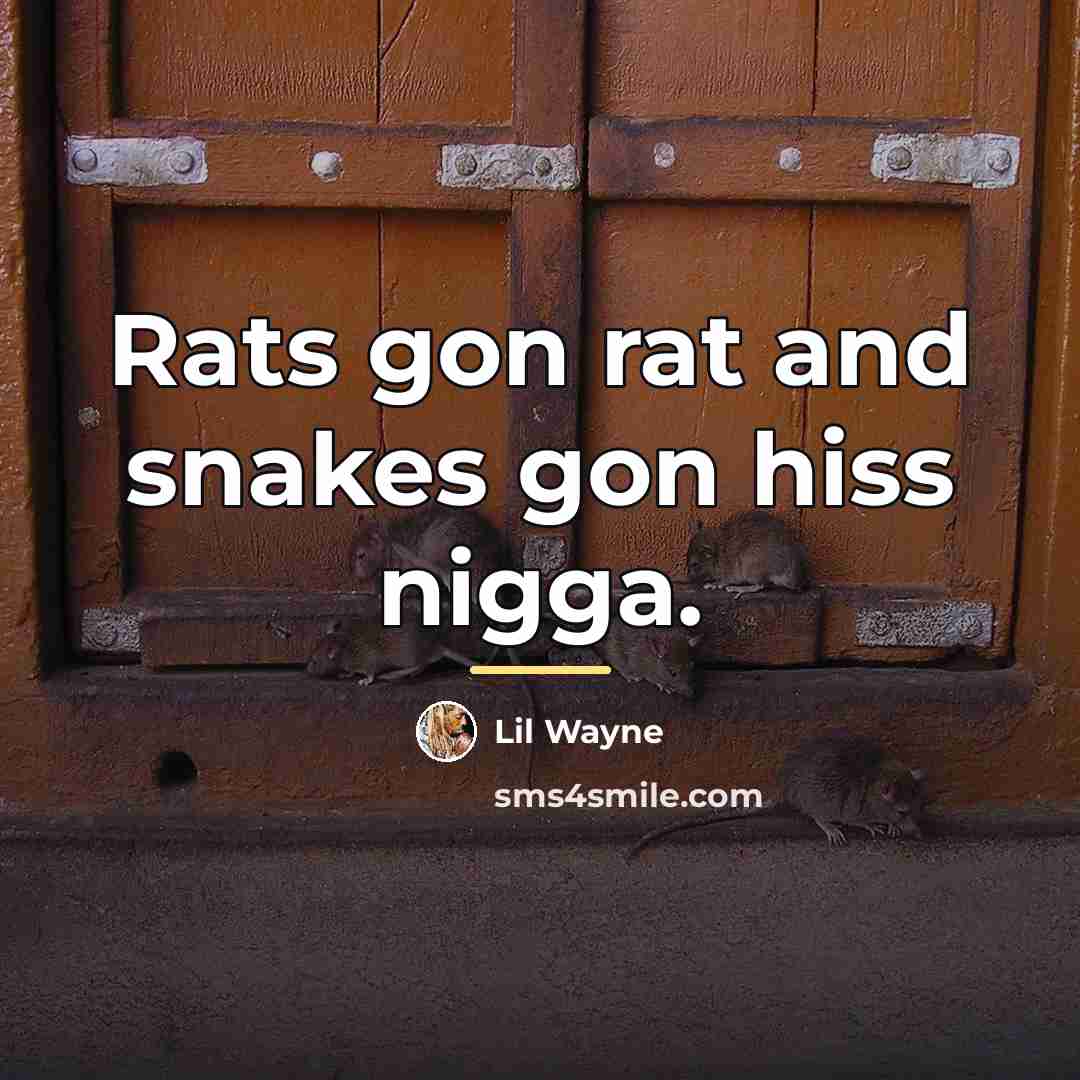“Rats gon rat and snakes gon hiss nigga.…” quote by Lil Wayne