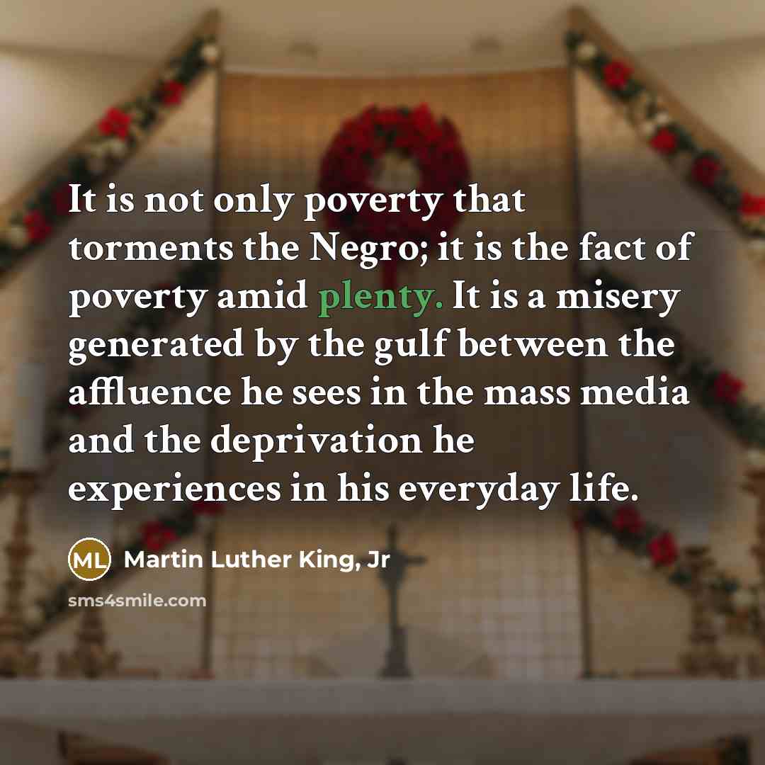 “It is not only poverty that torments the Negro; it…” quote by Martin Luther King, Jr