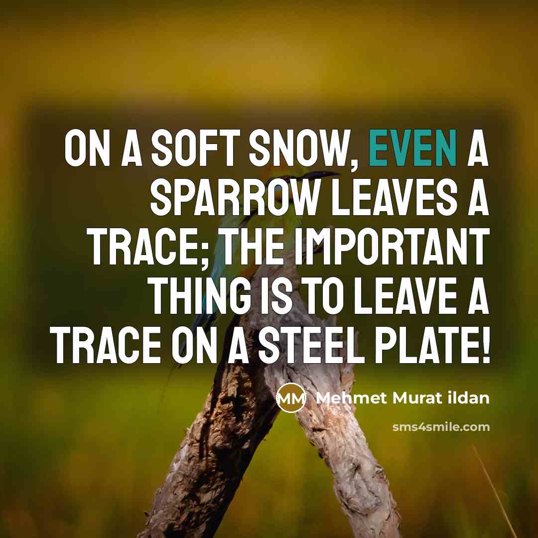 “On a soft snow, even a sparrow leaves a trace; the important thing is to leave a trace on a steel plate!” quote by Mehmet Murat Ildan
