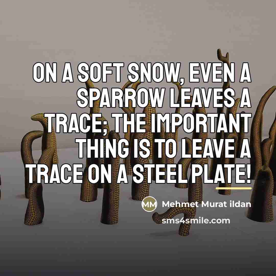 “On a soft snow, even a sparrow leaves a trace;…” quote by Mehmet Murat Ildan