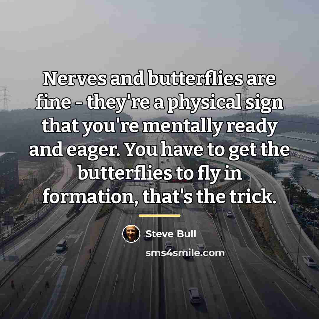 “Nerves and butterflies are fine - they're a physical sign…” quote by Steve Bull