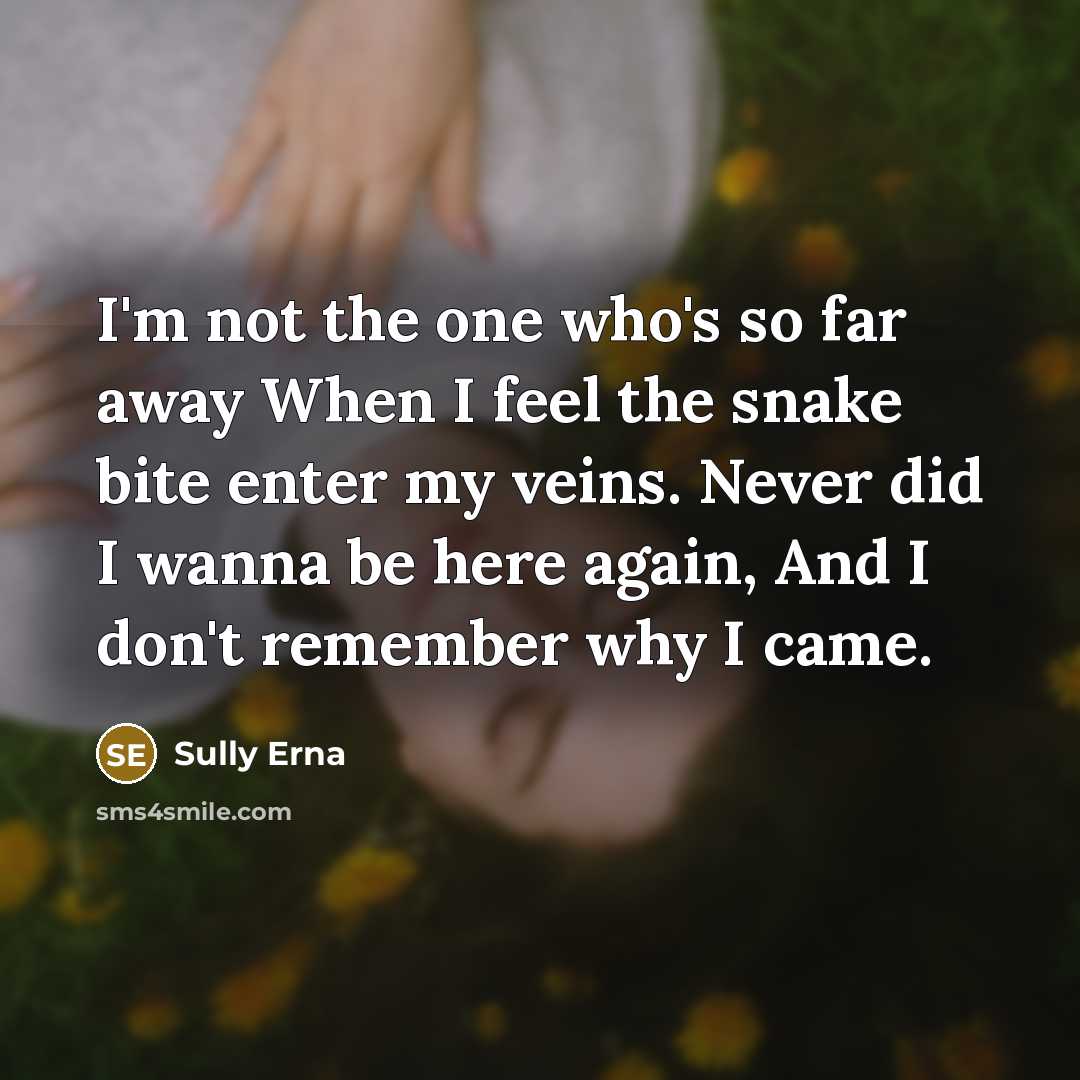 “I'm not the one who's so far away When I…” quote by Sully Erna