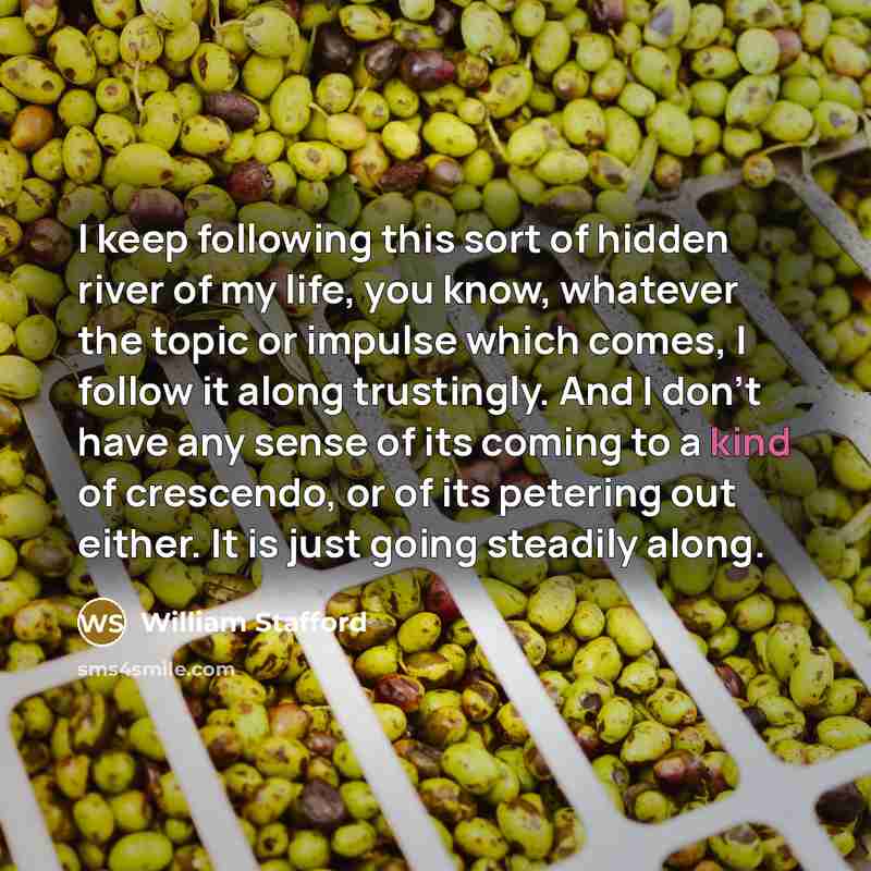“I keep following this sort of hidden river of my…” quote by William Stafford