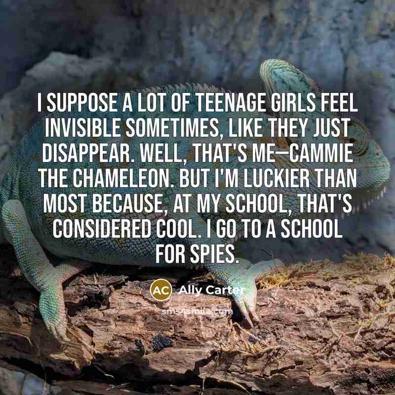 “I suppose a lot of teenage girls feel invisible sometimes,…” quote by Ally Carter