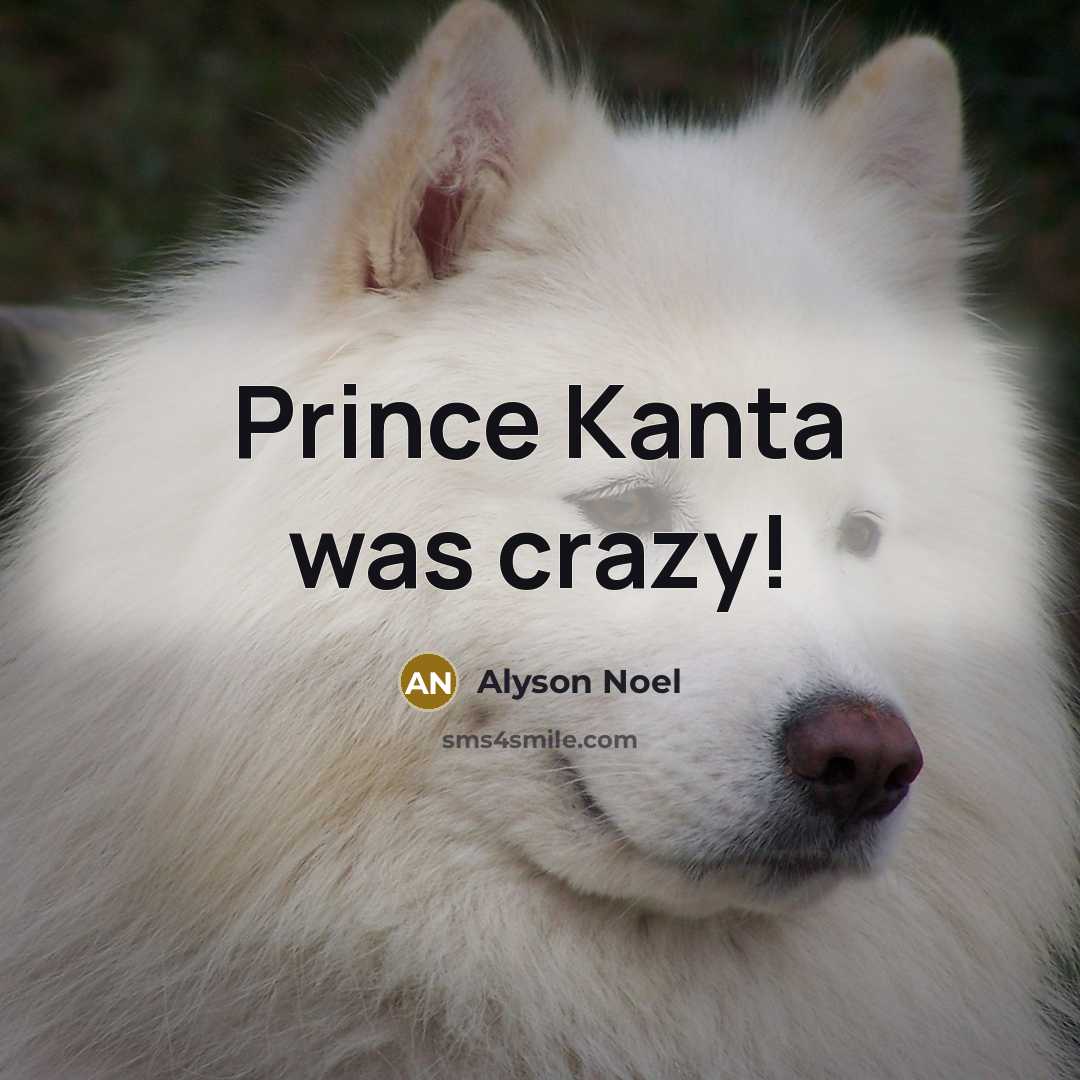 “Prince Kanta was crazy!…” quote by Alyson Noel