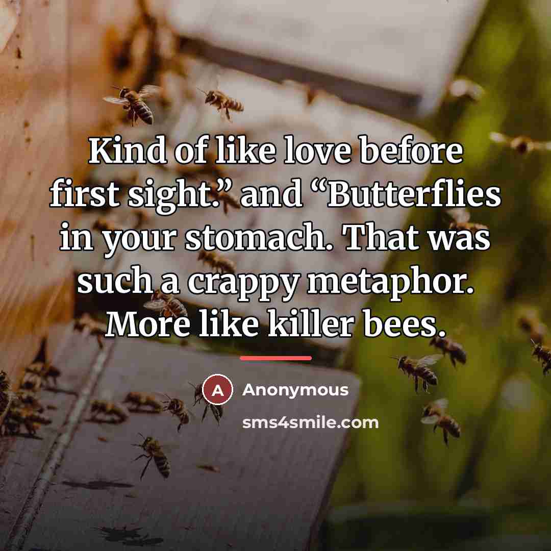 “Kind of like love before first sight.” and “Butterflies in…” quote by Anonymous