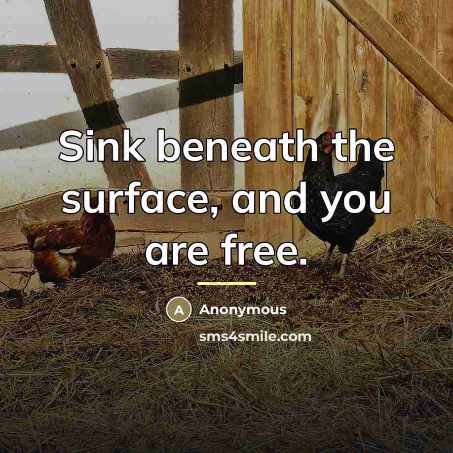 “Sink beneath the surface, and you are free.…” quote by Anonymous