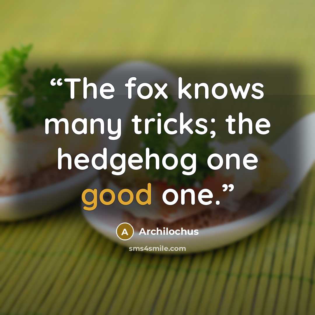 “The fox knows many tricks; the hedgehog one good one.” quote by Archilochus