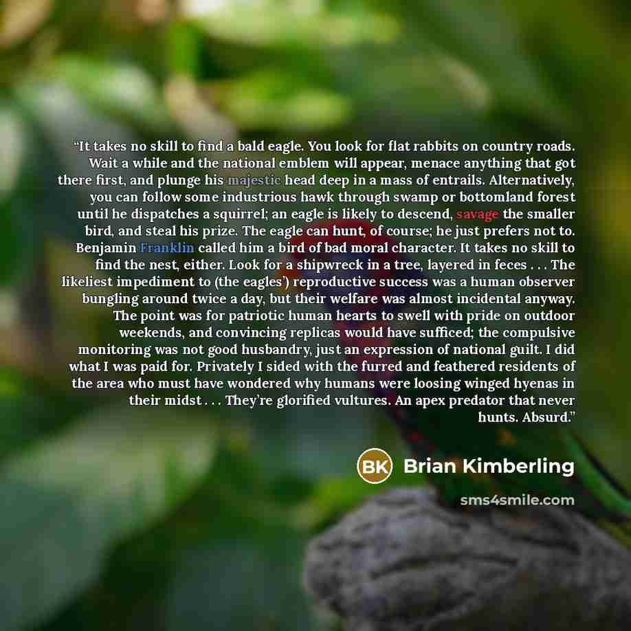 “It takes no skill to find a bald eagle. You look for flat rabbits on country roads. Wait a while and the national emblem will appear, menace anything that got there first, and plunge his majestic head deep in a mass of entrails. Alternatively, you can follow some industrious hawk through swamp or…” quote by Brian Kimberling