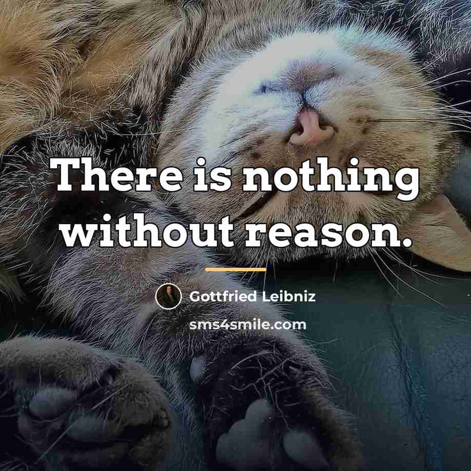 “There is nothing without reason.…” quote by Gottfried Leibniz