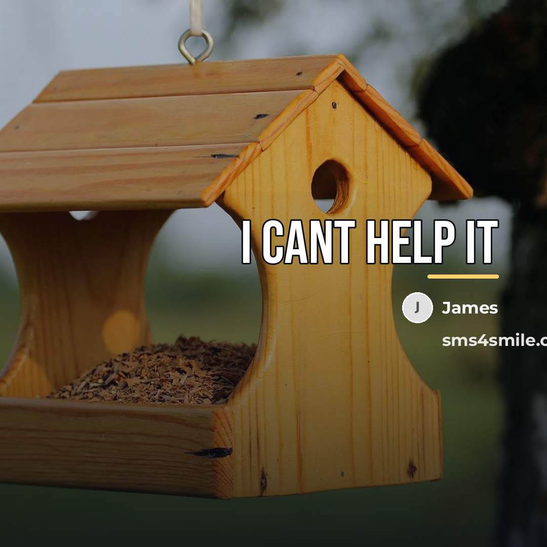 “I cant help it…” quote by James
