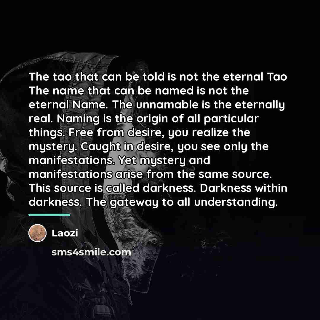 “The tao that can be told is not the eternal…” quote by Laozi