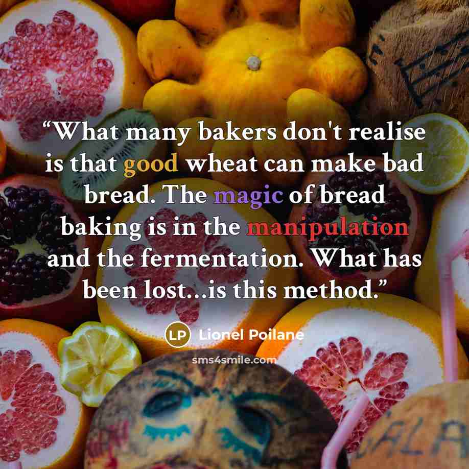 “What many bakers don't realise is that good wheat can make bad bread. The magic of bread baking is in the manipulation and the fermentation. What has been lost…is this method.” quote by Lionel Poilane