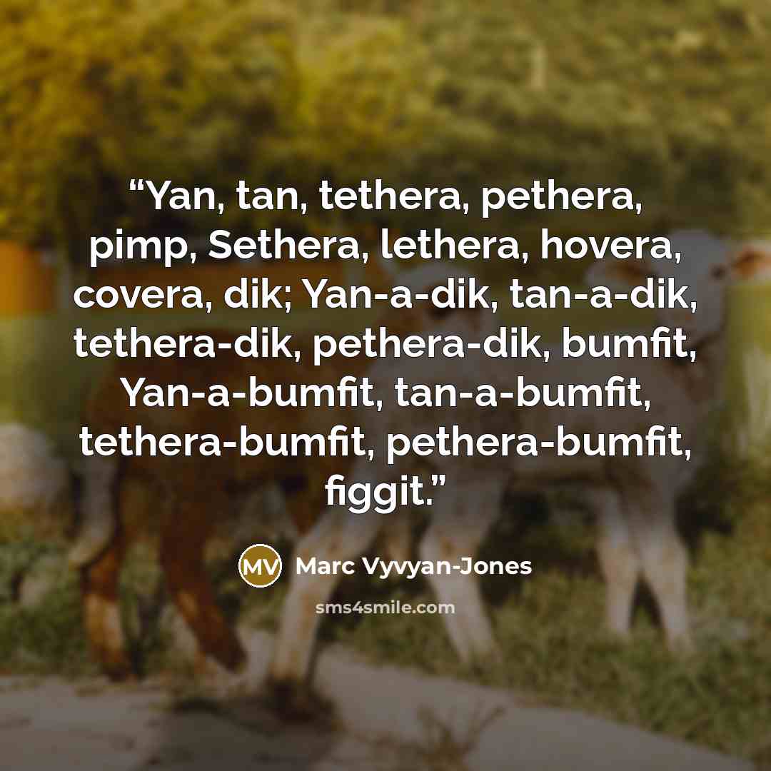 “Yan, tan, tethera, pethera, pimp, Sethera, lethera, hovera, covera, dik; Yan-a-dik, tan-a-dik, tethera-dik, pethera-dik, bumfit, Yan-a-bumfit, tan-a-bumfit, tethera-bumfit, pethera-bumfit, figgit.” quote by Marc Vyvyan-Jones
