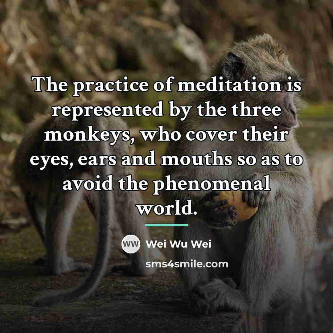 “The practice of meditation is represented by the three monkeys,…” quote by Wei Wu Wei