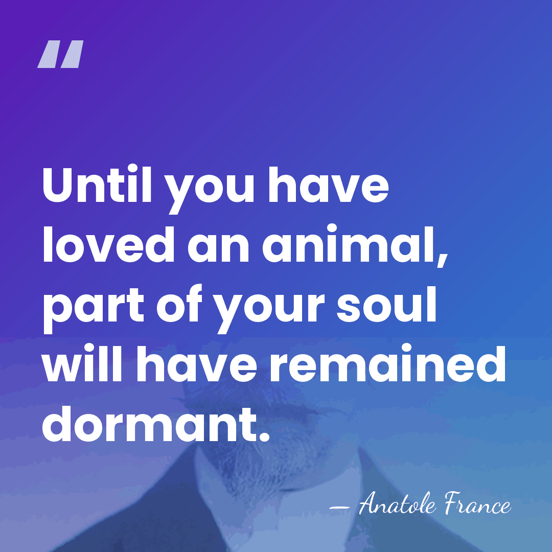 Until you have loved an animal, part of your soul will have&hellip; - Anatole France