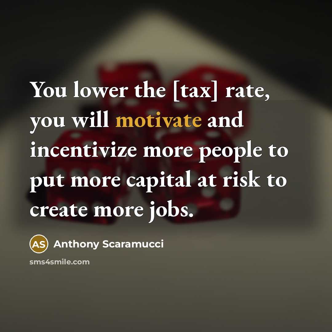 “You lower the [tax] rate, you will motivate and incentivize…” quote by Anthony Scaramucci