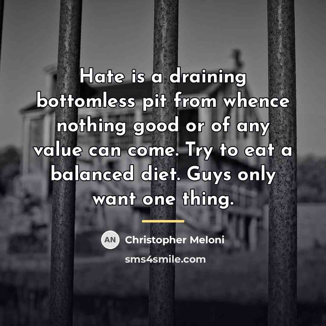 “Hate is a draining bottomless pit from whence nothing good…” quote by Christopher Meloni