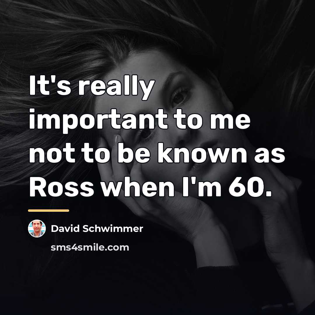 “It's really important to me not to be known as…” quote by David Schwimmer