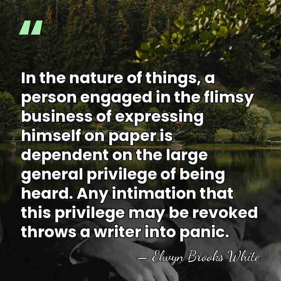 In the nature of things, a person engaged in the flimsy business&hellip; - Elwyn Brooks White