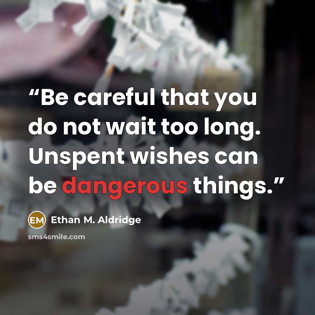 “Be careful that you do not wait too long. Unspent wishes can be dangerous things.” quote by Ethan M. Aldridge