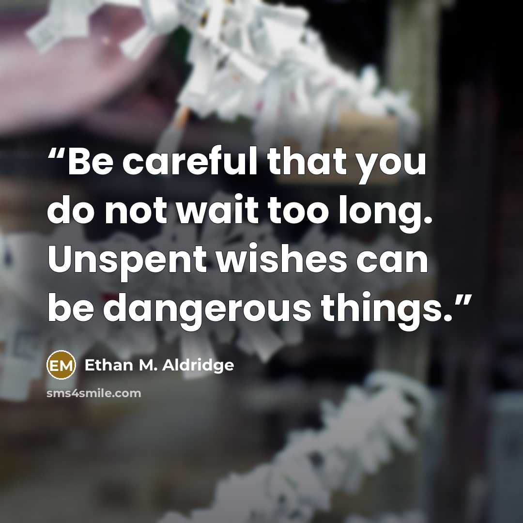 “Be careful that you do not wait too long. Unspent wishes can be dangerous things.” quote by Ethan M. Aldridge