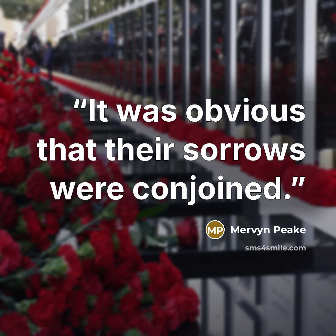 “It was obvious that their sorrows were conjoined.” quote by Mervyn Peake