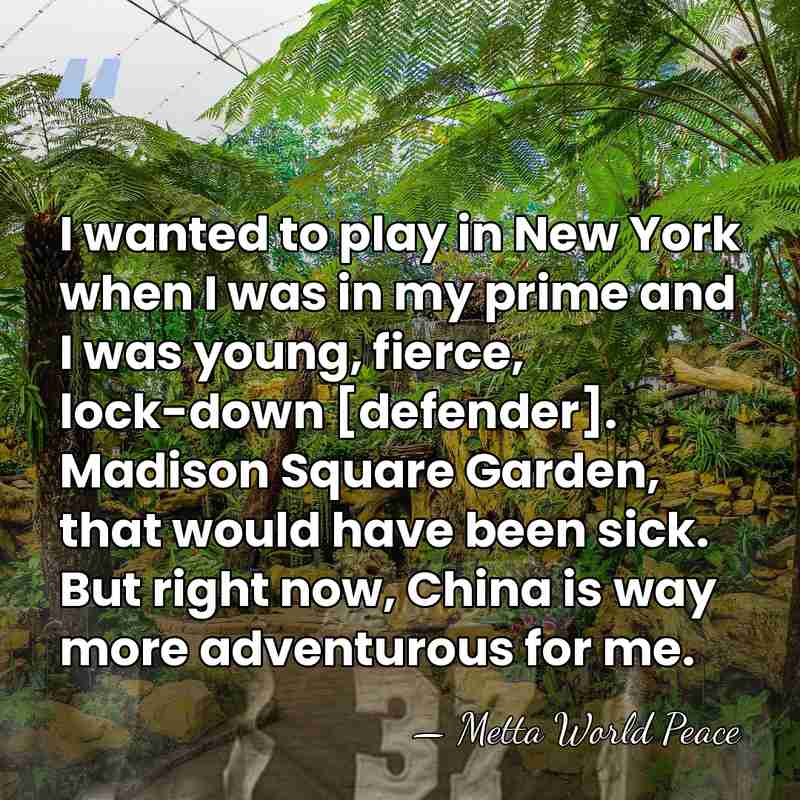 I wanted to play in New York when I was in my&hellip; - Metta World Peace