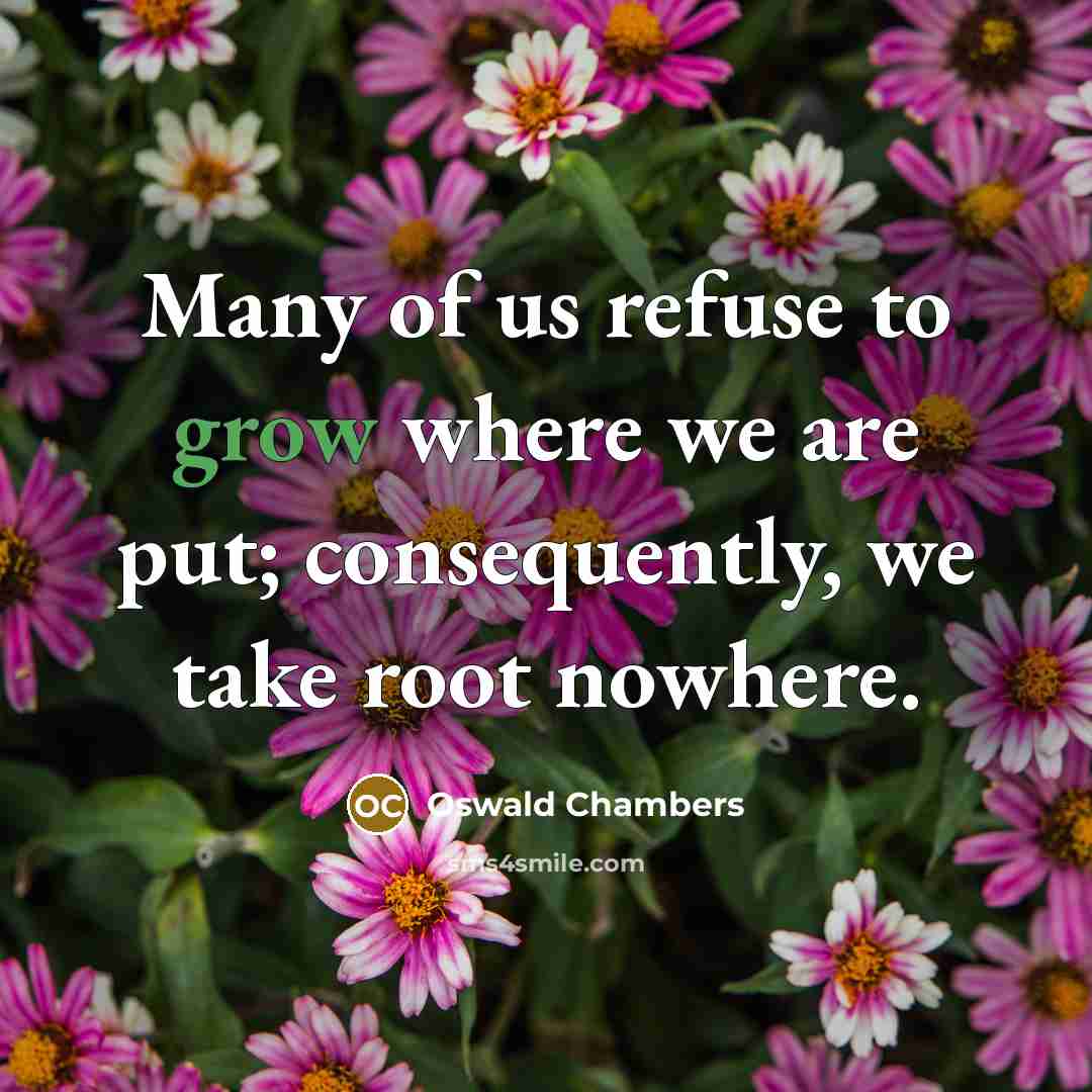 “Many of us refuse to grow where we are put;…” quote by Oswald Chambers