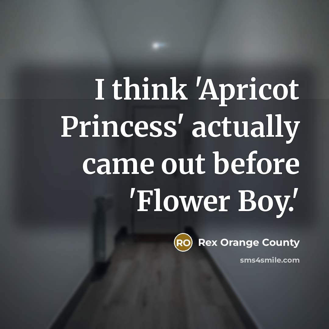 “I think 'Apricot Princess' actually came out before 'Flower Boy.'…” quote by Rex Orange County