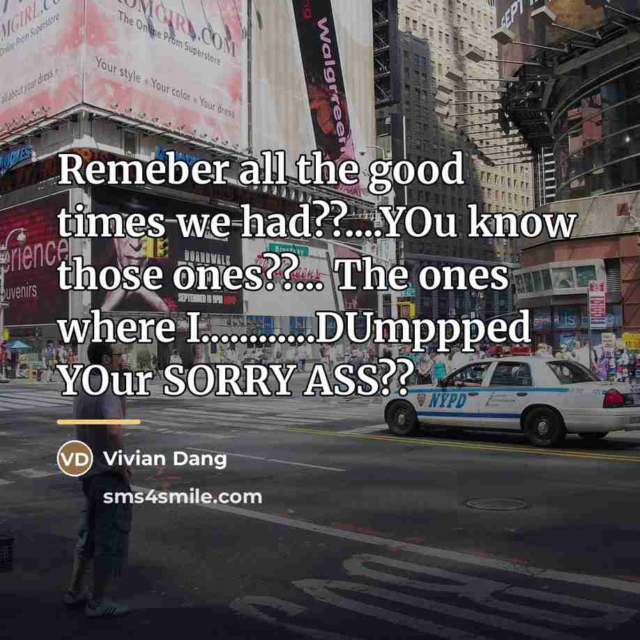 “Remeber all the good times we had??....YOu know those ones??...…” quote by Vivian Dang