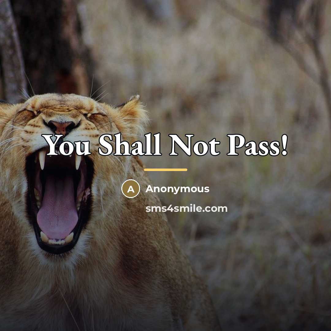 “You Shall Not Pass!…” quote by Anonymous