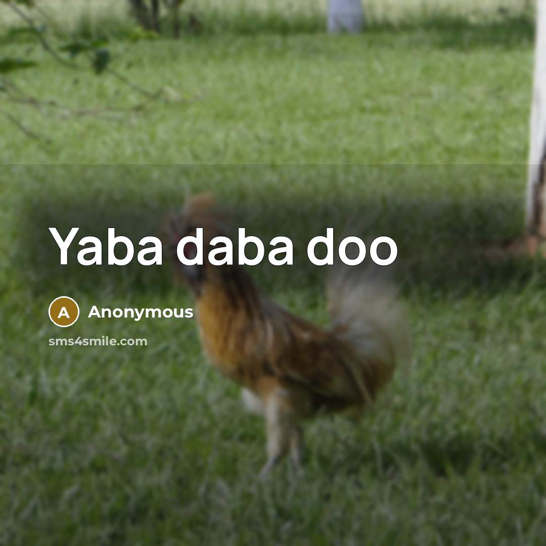 “Yaba daba doo” quote by Anonymous