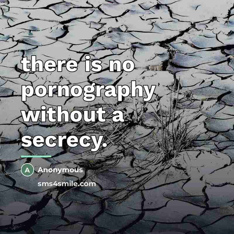 “there is no pornography without a secrecy.…” quote by Anonymous