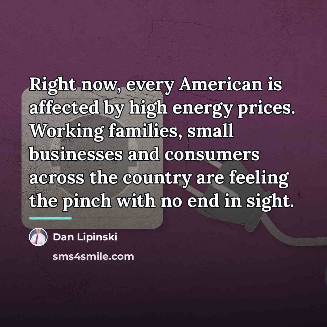 “Right now, every American is affected by high energy prices.…” quote by Dan Lipinski