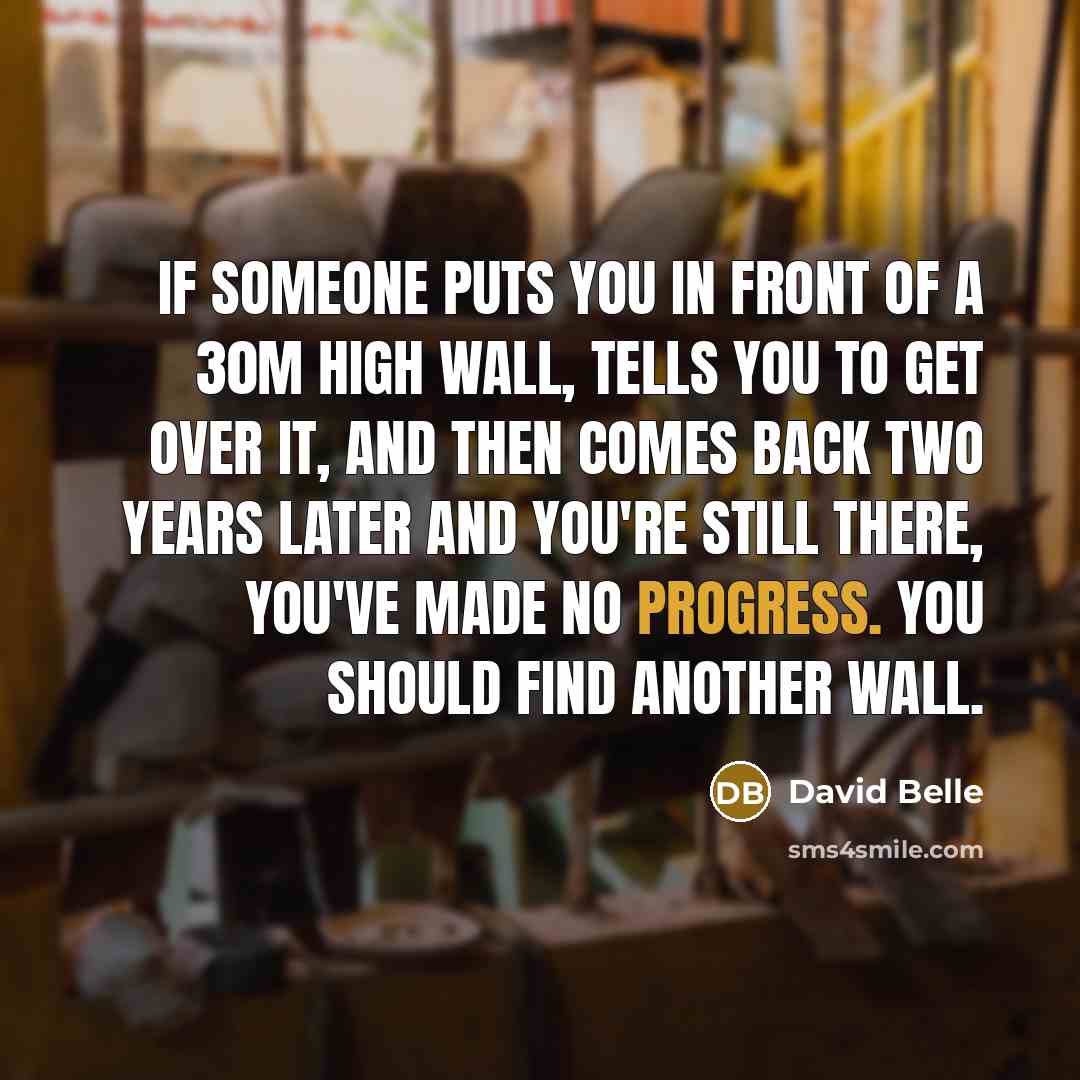 “If someone puts you in front of a 30m high…” quote by David Belle