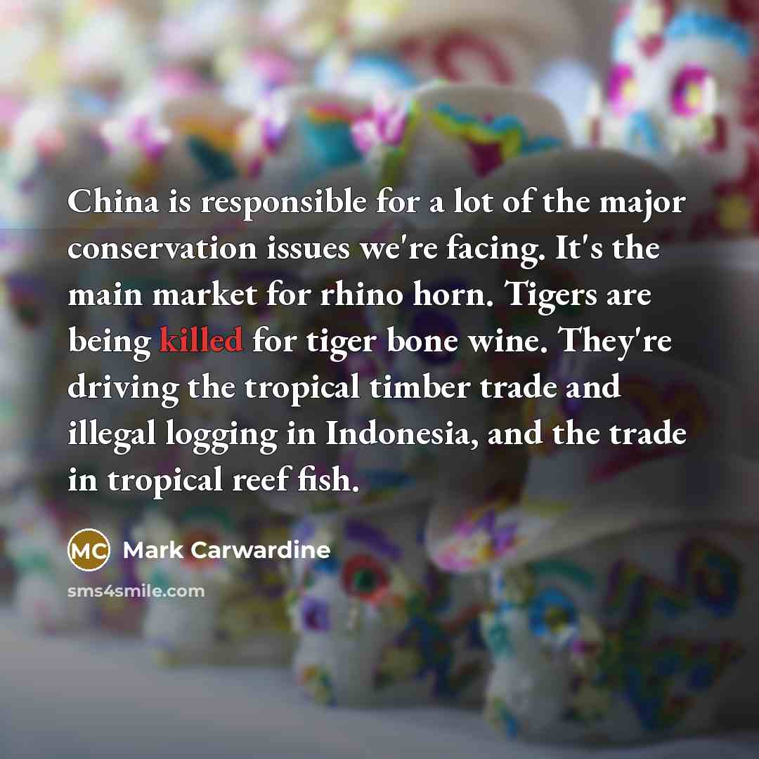 “China is responsible for a lot of the major conservation…” quote by Mark Carwardine