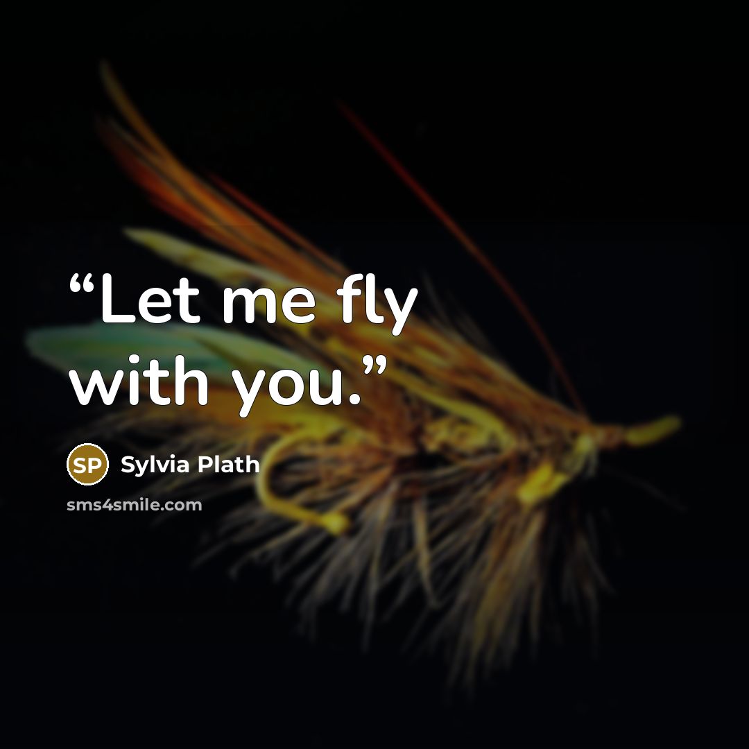 “Let me fly with you.” quote by Sylvia Plath