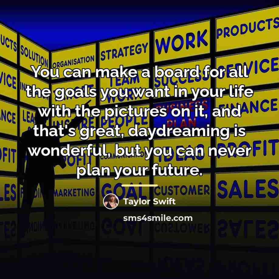 “You can make a board for all the goals you…” quote by Taylor Swift