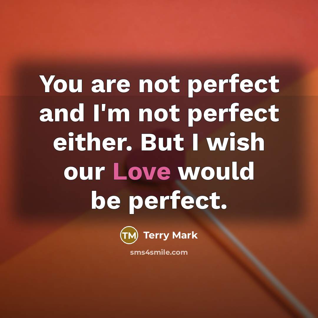 “You are not perfect and I'm not perfect either. But…” quote by Terry Mark