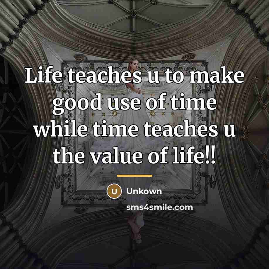 “Life teaches u to make good use of time while…” quote by Unkown