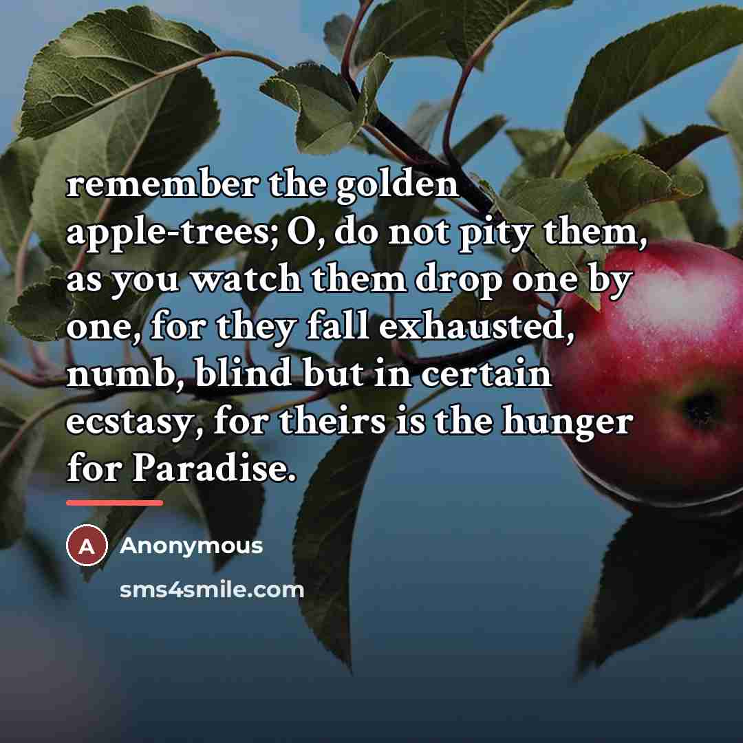 “remember the golden apple-trees; O, do not pity them, as…” quote by Anonymous