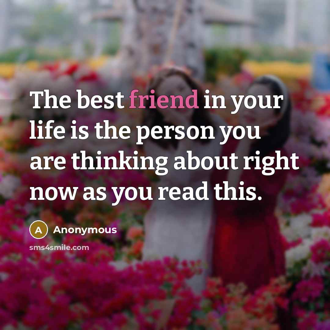 “The best friend in your life is the person you…” quote by Anonymous